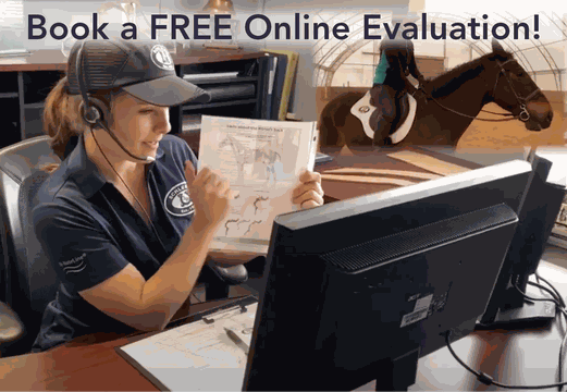 Odoo - Sample 3 for three columns